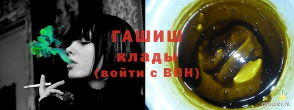 крисы Алзамай