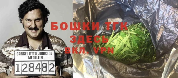 метадон Алексин