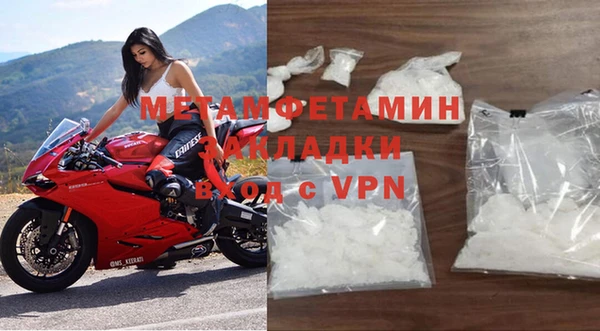 крисы Алзамай