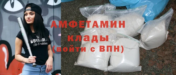 метадон Алексин