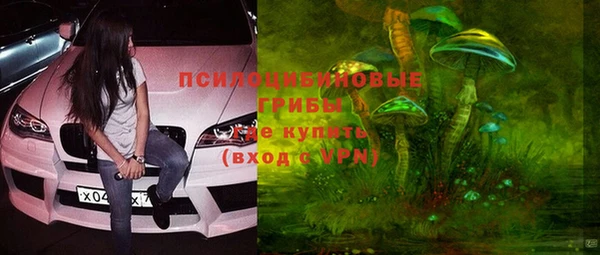метадон Алексин