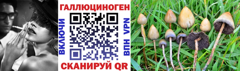 Псилоцибиновые грибы мицелий  Ликино-Дулёво 